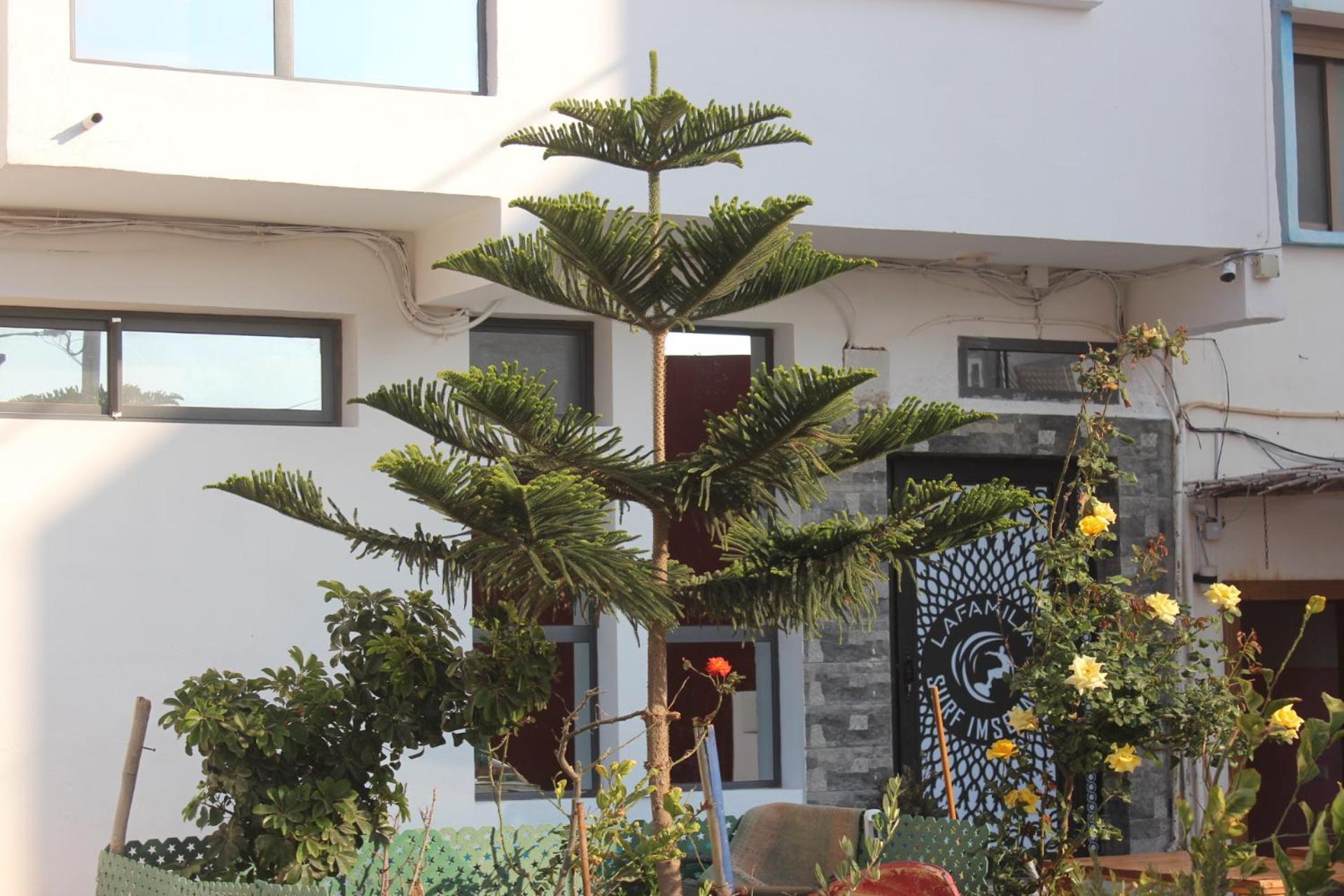 Lafamilia Surf Imsouane Hotel Exterior foto